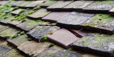 Coleford roof repair costs